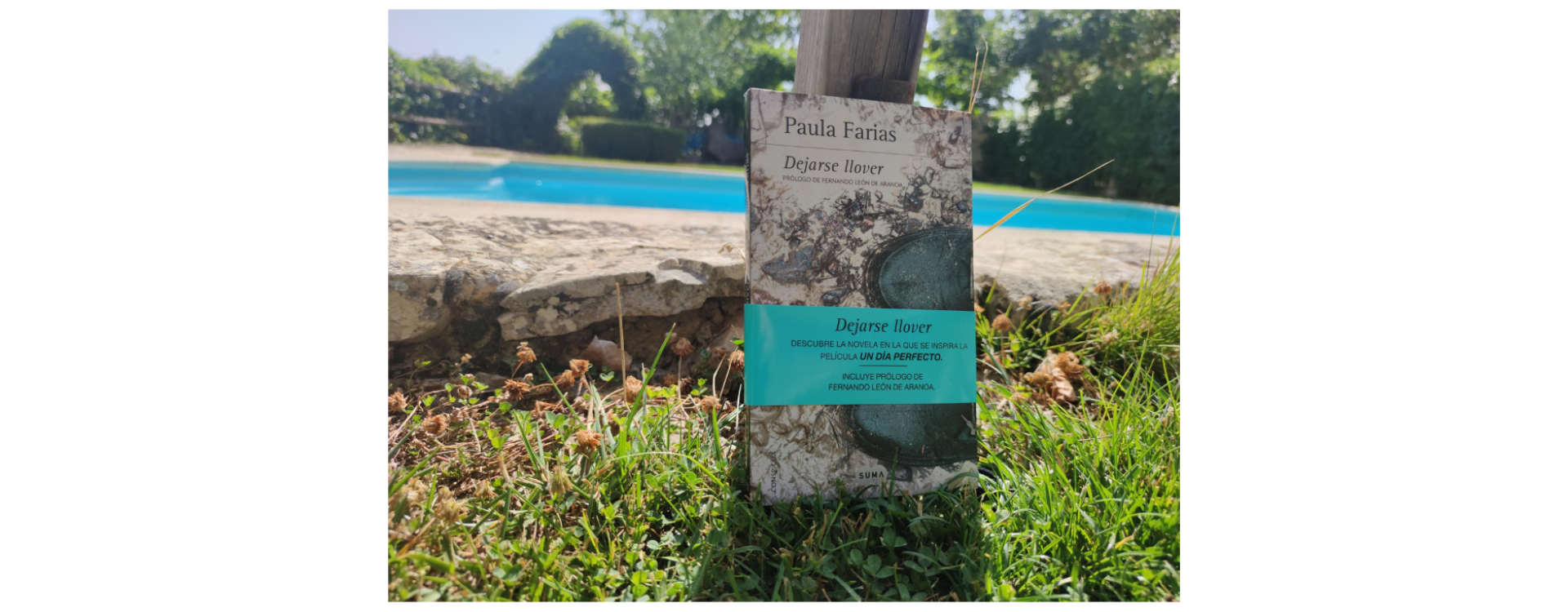 Libro de Paula Farias. 