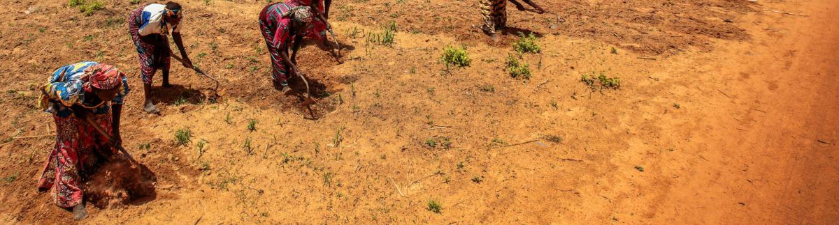 Crisis nutricional en el noroeste de Nigeria