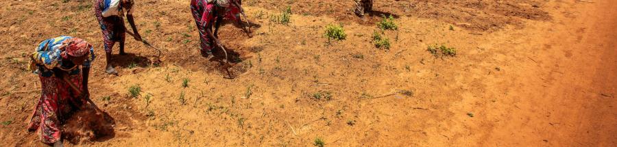Crisis nutricional en el noroeste de Nigeria