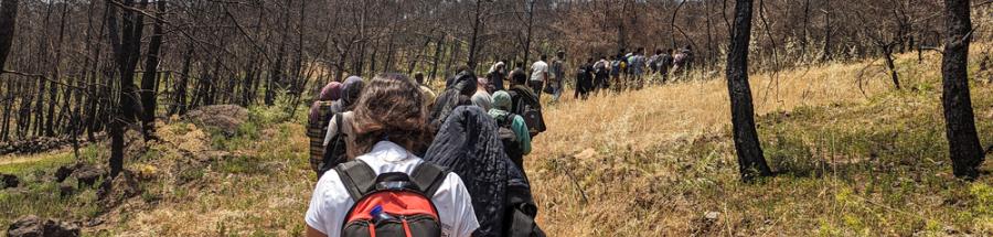 Actividades de ayuda médica de urgencia en Lesbos, Grecia