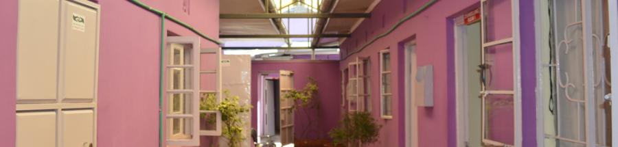 La Casa Lavanda, llamada así por las propiedades curativas de la hierba que le da nombre. Mathare, Nairobi, Kenia.