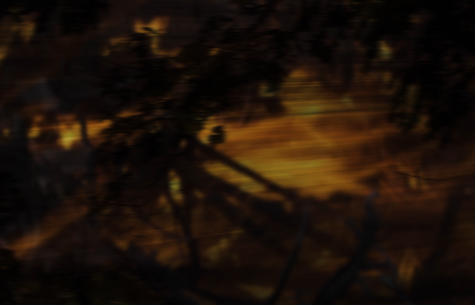 We Saw Fire - still 3