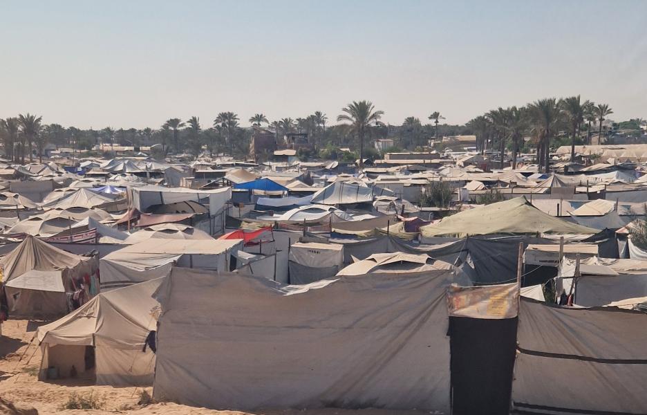 Glosario de Aitor en Gaza - Mar de plástico