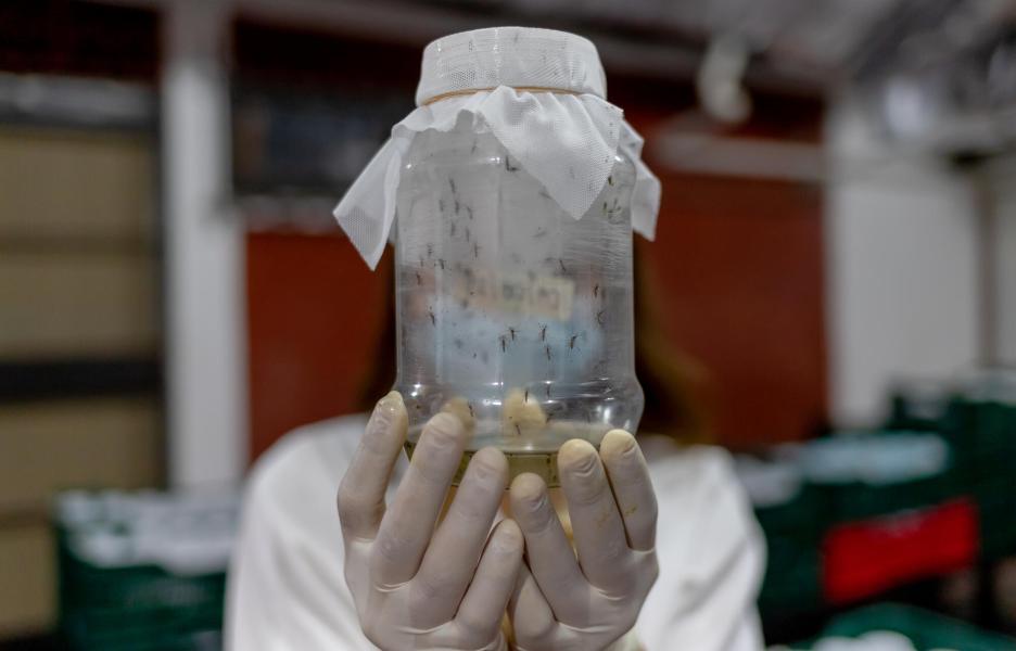 Arbovirus Project
