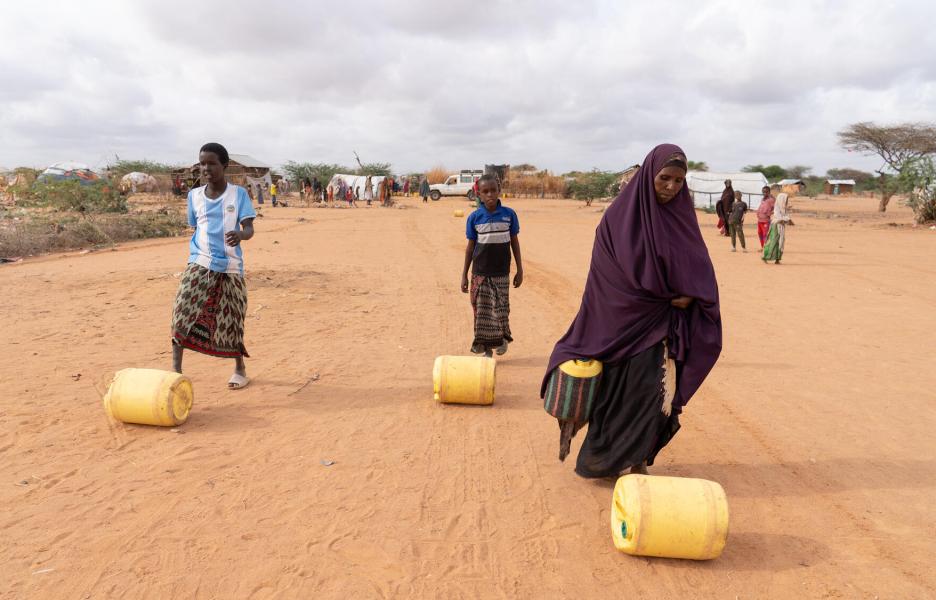 Condiciones de vida de refugiados y comunidades de acogida en Dadaab