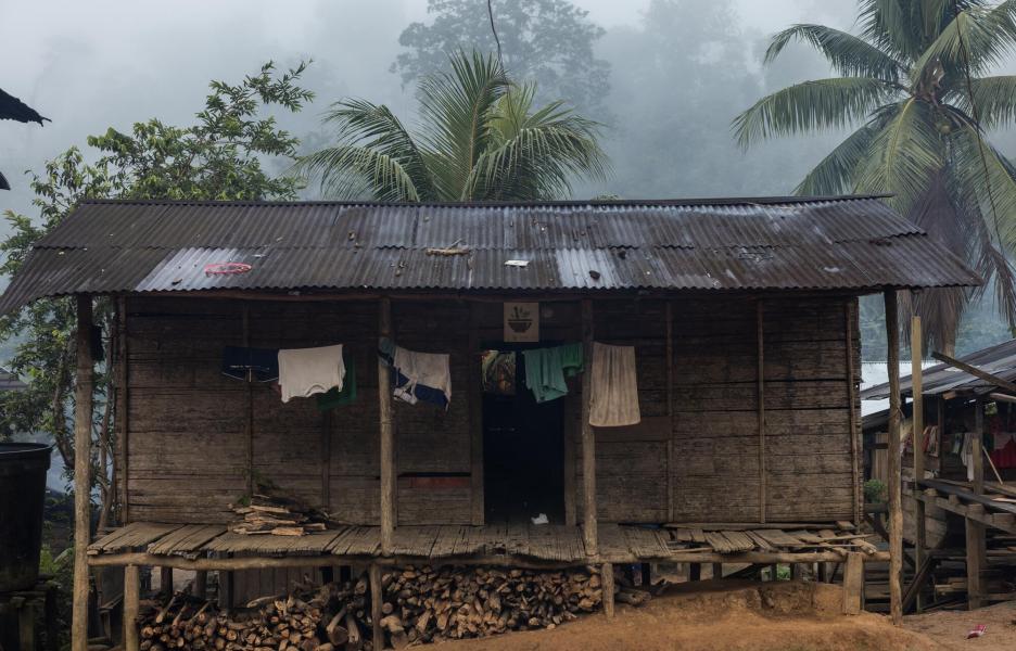 Riografías del Baudó: casa del jaibaná de Puesto Indio