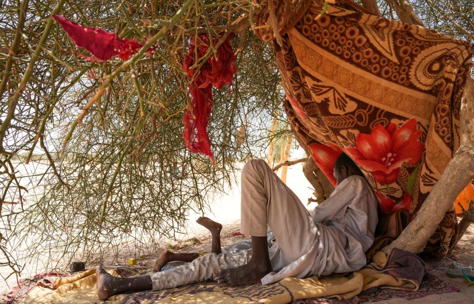 A salvo de las bombas, pero luchando por sobrevivir