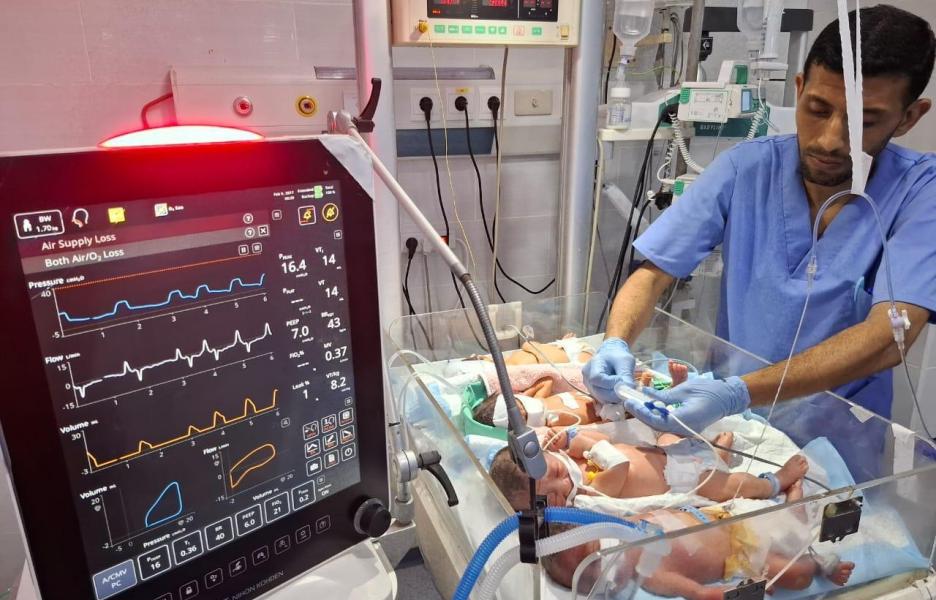 Varios bebés comparten una incubadora en la unidad de cuidados intensivos neonatales del Hospital Al Helou.