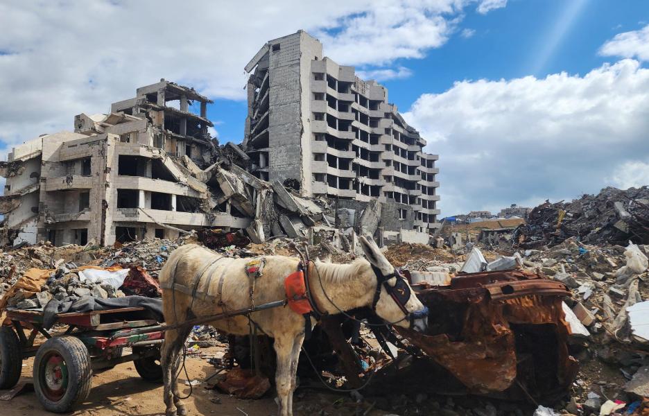 Edificios arrasados en la Ciudad de Gaza