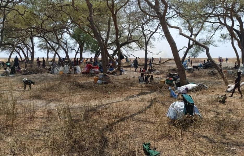 Las familias buscan refugio bajo los árboles en Nyatim.