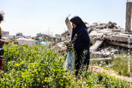 EnfocAH: Palestina y Sudán, dos conflictos que desangran el mundo