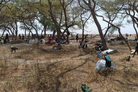Las familias buscan refugio bajo los árboles en Nyatim.