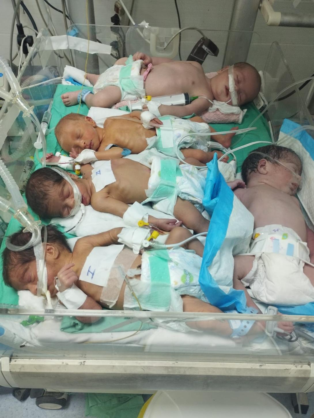 Glosario de Gaza: Vida