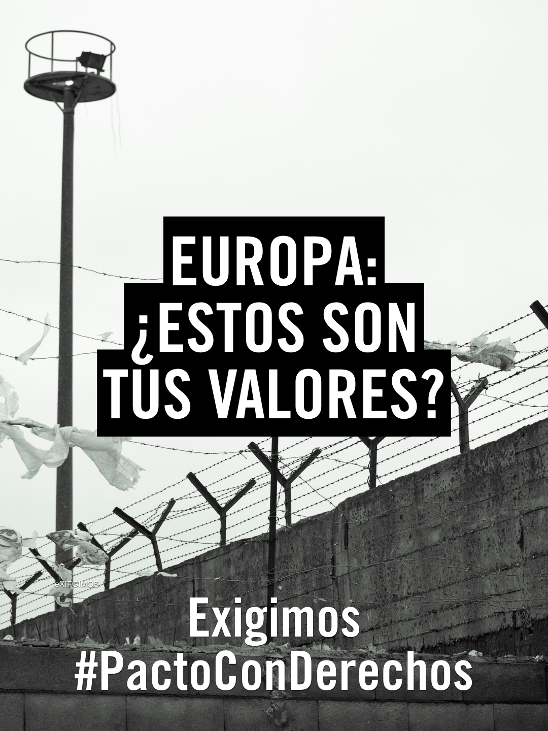 Europa: ¿estos son tus valores?
