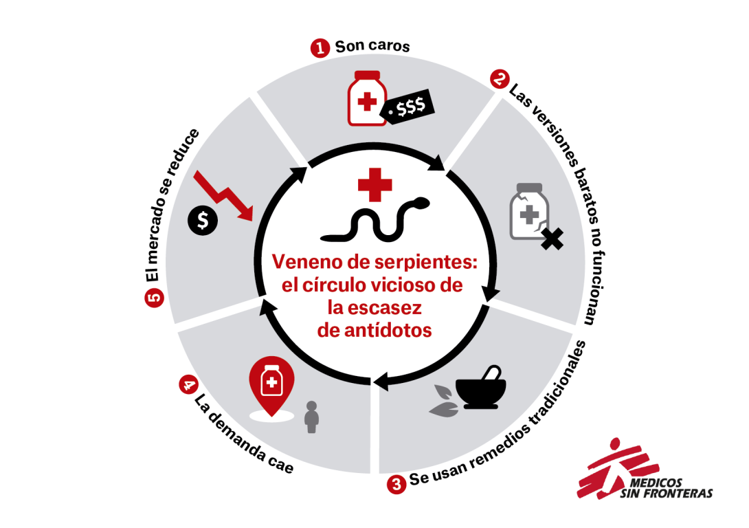 El círculo vicioso de los antídotos contra las mordeduras de serpiente El círculo vicioso de los antídotos contra las mordeduras de serpiente