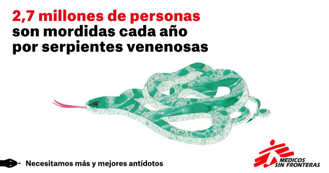 2,7 millones de personas son mordidas cada año por serpientes venenosas 2,7 millones de personas son mordidas cada año por serpientes venenosas