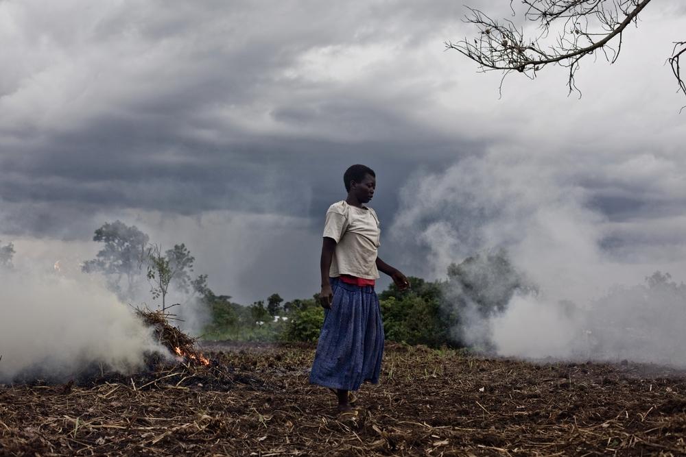 Un grupo de refugiados limpian un trozo de campo para cultivar antes de que lleguen las lluvias. Sudán.