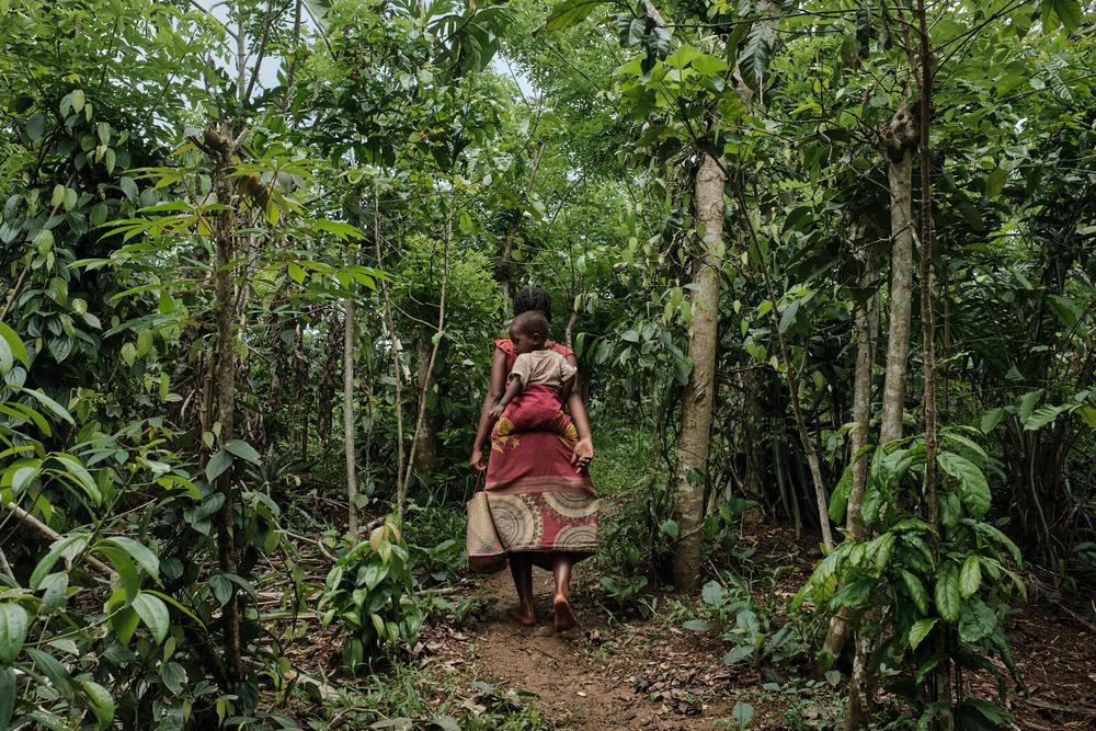 Juliette cruza un campo de café y pimienta arruinado por el ciclón