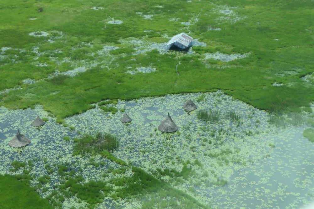 Inundaciones en el condado de Leer, estado de Unity, Sudán del Sur. Inundaciones en el condado de Leer, estado de Unity, Sudán del Sur.