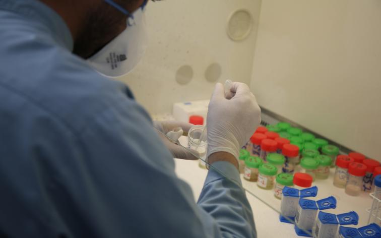 Un técnico analiza muestras en el laboratorio del hospital de tuberculosis resistente a los medicamentos (DR-TB) de MSF en la ciudad de Kandahar, Afganistán.