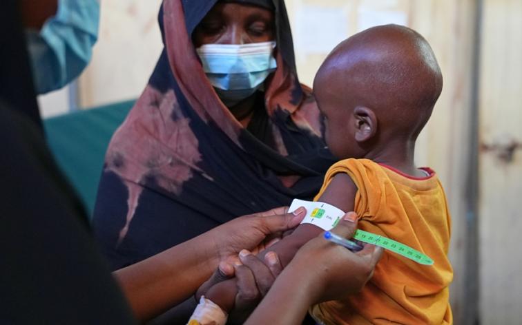 MSF responde al aumento de casos de kala-azar en los condados kenianos de Wajir y Marsabit